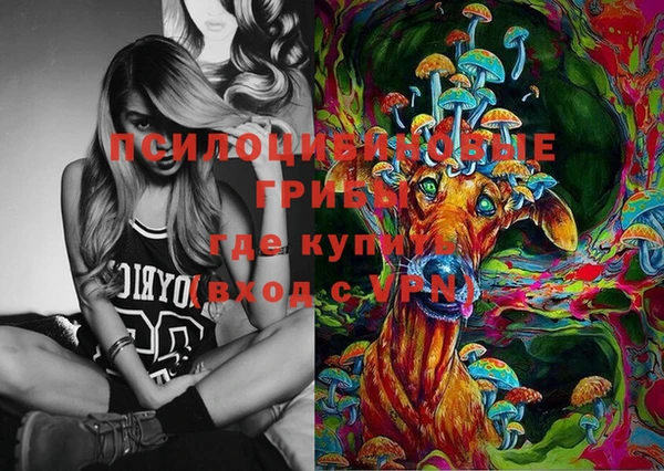 a pvp Армянск