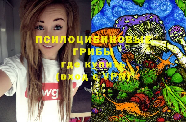 a pvp Армянск