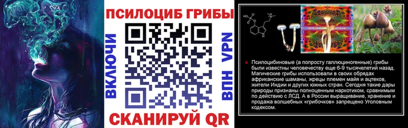 Псилоцибиновые грибы GOLDEN TEACHER  Себеж 